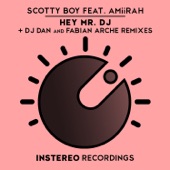 Hey Mr. DJ (feat. Amiirah) [DJ Dan Remix] artwork