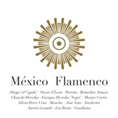 México Flamenco artwork