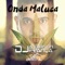 Onda Maluca - DJ Anderson França & MC 2L lyrics