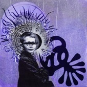 The Brian Jonestown Massacre - Nightbird