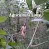 Agricultura Livre, 2015