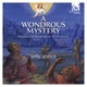 A WONDROUS MYSTERY cover art