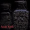 Clarum Somnium - Fractal Dreamers lyrics