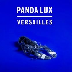 Panda Lux - Jung 1