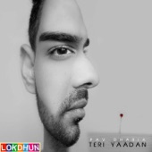 Teri Yaadan artwork