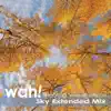 Sky Extended Mix album lyrics, reviews, download