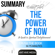 Ant Hive Media - Summary of Eckhart Tolle's The Power of Now: A Guide to Spiritual Enlightenment (Unabridged)