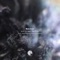 Berlink (feat. Tea Time) - Area 51 lyrics
