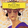 Puccini: The Essentials, 2016