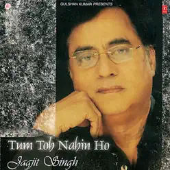 Tum Toh Nahin Ho - Jagjit Singh