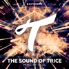 The Sound of Trice (Mixed by Vigel)