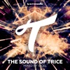 The Sound of Trice (Mixed by Vigel), 2016