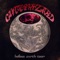 Mycelia - Glitter Wizard lyrics