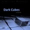 Dark Cubes - Skillshuut lyrics