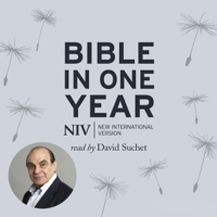 New International Version - NIV Audio Bible in One Year Read by David Suchet (Unabridged) artwork