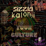 Sizzla - Your Culture