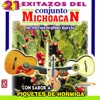 21 Exitazos Del Conjunto Michoacán