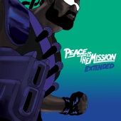 Peace Is The Mission (Extended) artwork