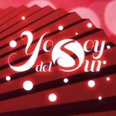 Yo soy del sur artwork