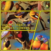 Danny L Harle - Broken Flowers