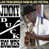 Jimmy Duck Holmes at Briggs Farm Blues Festival artwork