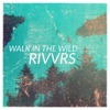 Walk in the Wild - Single artwork