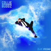 Blue Dreamz artwork