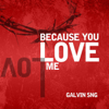 Because You Love Me - Galvin Sng