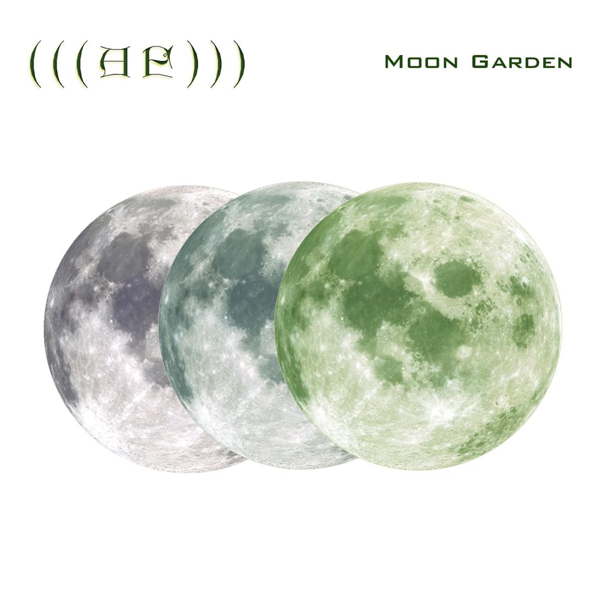 Moon garden перевод. Garden Moon песня. Moon Garden logo.