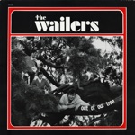 The Wailers - Hang Up