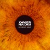 Xavier Naidoo - Bei meiner Seele [Instrumental]