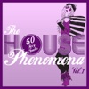 The HOUSE Phenomena, Vol. 1 (50 Sexy Tracks), 2013