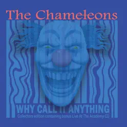 Why Call It Anything (Remastered) - The Chameleons