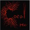 Boum Mengue - Kevin Beachze lyrics