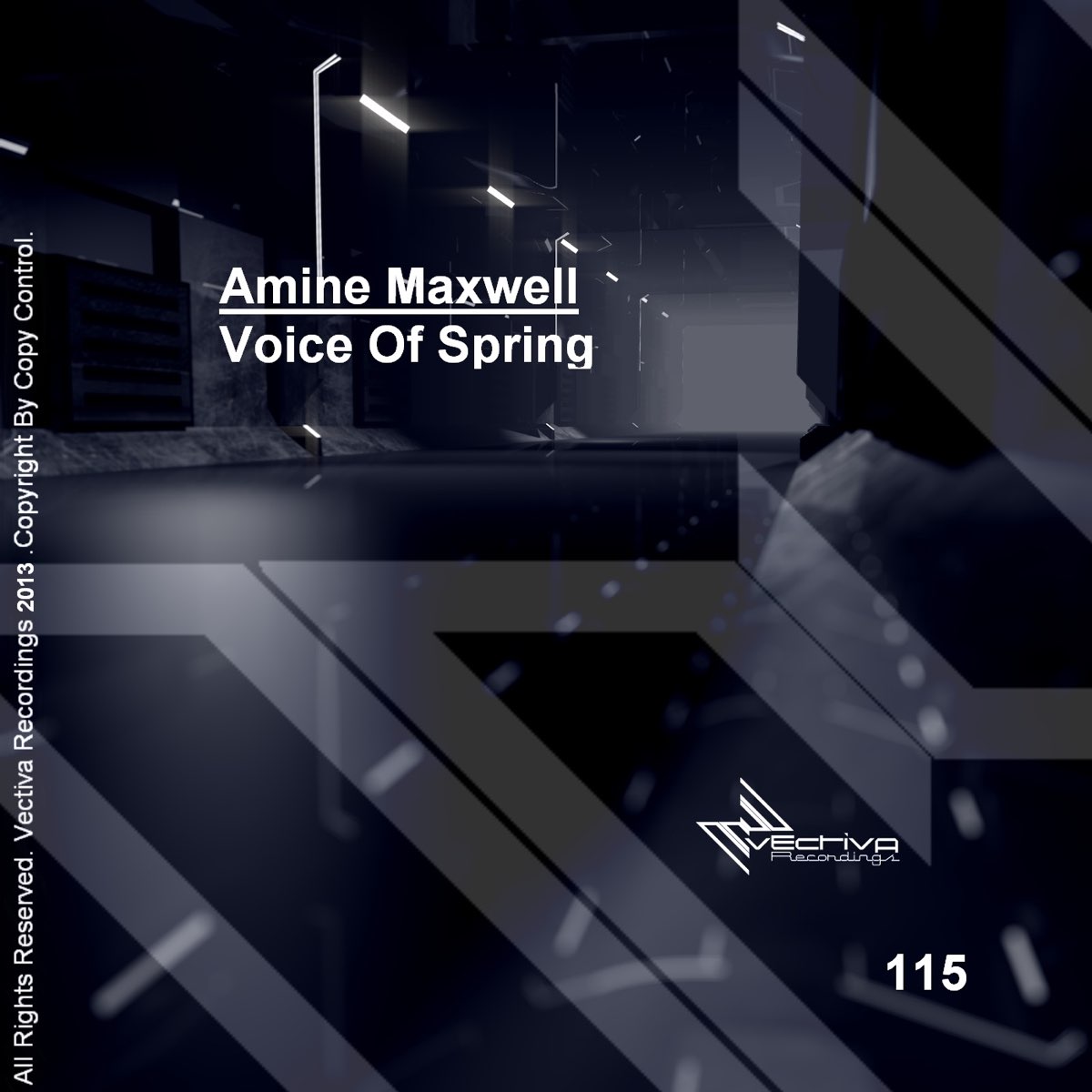Maxwell voice. Amine Maxwell - Night and the City.