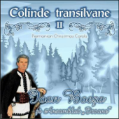 Colinde transilvanene II (with Ansamblul Icoane) - Ioan Bocsa
