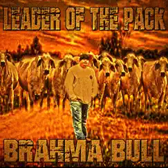 Leader of the Pack - Single by Brahma Bull album reviews, ratings, credits