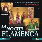 La Noche Flamenca (En Directo desde el Tablao Flamenco de "Sólo Compás") artwork