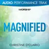 Magnified (Audio Performance Trax) album lyrics, reviews, download