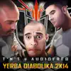 Yerba Diabolika 2K14 (Extended Version) song lyrics
