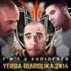 Stream & download Yerba Diabolika 2K14 (Extended Version)