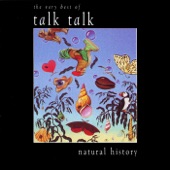 Natural History - The Very Best of Talk Talk artwork
