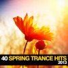 40 Spring Trance Hits 2013, 2013