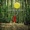 Gabrielle Aplin & Bastille - Dreams