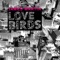 Lovebirds - James Martin lyrics