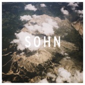 SOHN - Bloodflows