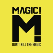 Don't Kill the Magic artwork