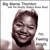 I'm Feeling Alright (feat. The Muddy Waters Blues Band) artwork