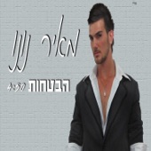 הבטחות artwork