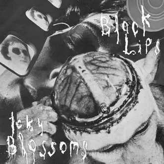 Cowboy Knights - Single by The Black Lips & Icky Blossoms album reviews, ratings, credits